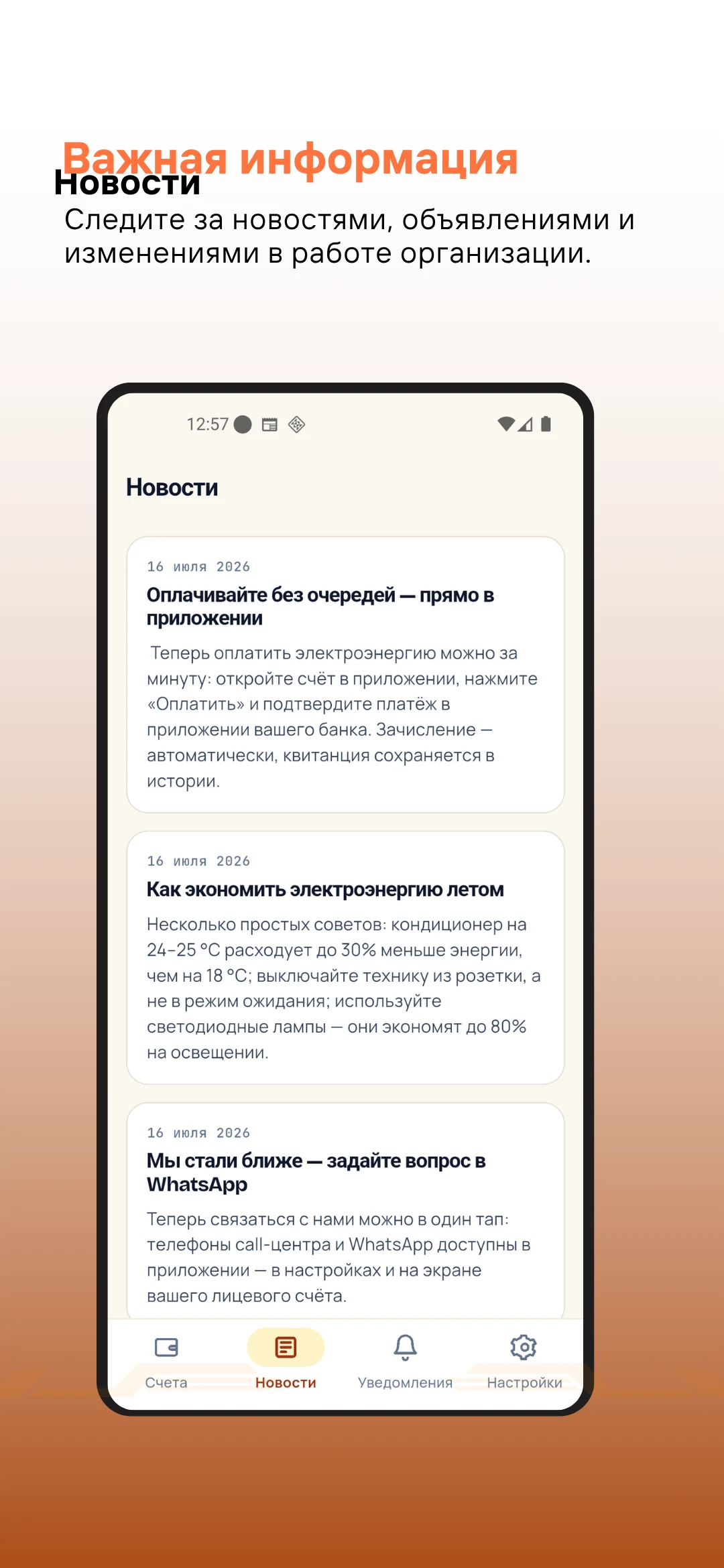 Tizmek Billing — экран 9